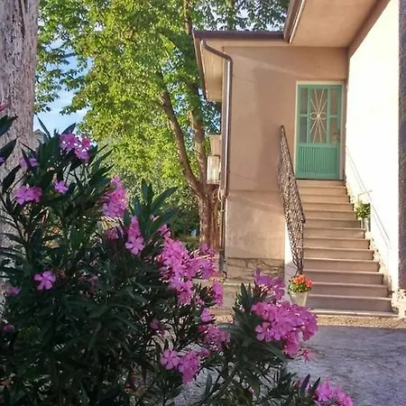 House Vivoda *